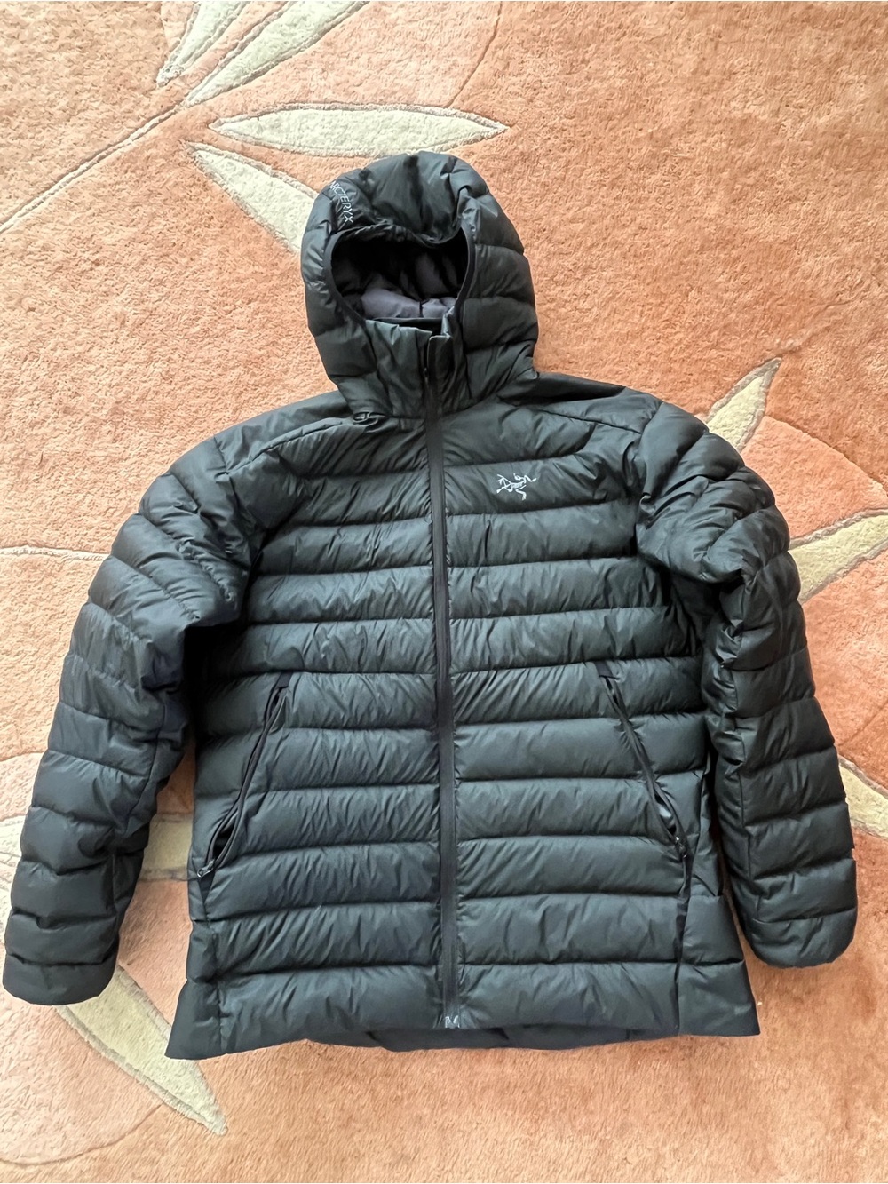 Arc'teryx Cerium Down Hoody